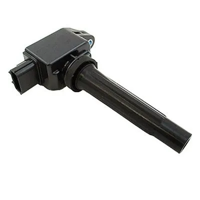 Ignition Coil (L530573A2)