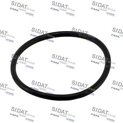 Seal, thermostat (M401691)
