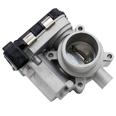 Throttle Body (L8060A2)