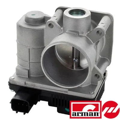Throttle Body (L8181AS)