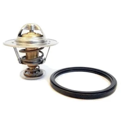 Thermostat, coolant (M4806)