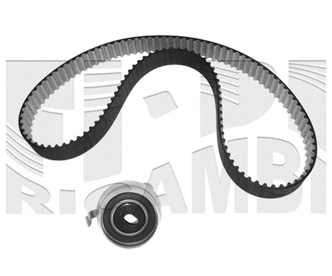Timing Belt Kit (KAT1350)