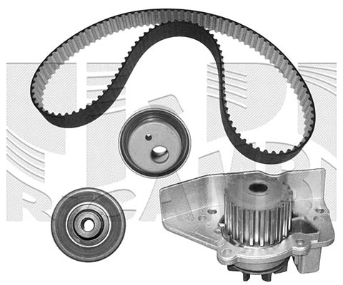 Water Pump & Timing Belt Kit (KATW1134B)