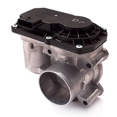 Throttle Body (L8131)