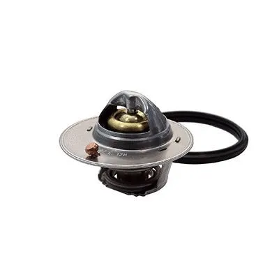 Thermostat, coolant (M4791)