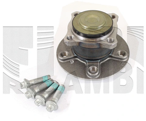 Wheel Bearing Kit (RA6809)