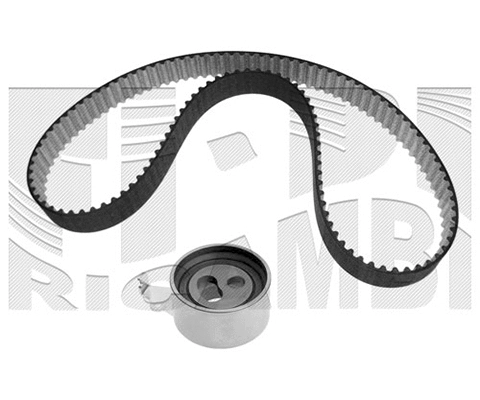 Timing Belt Kit (KAT1548)
