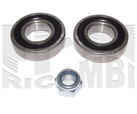 Wheel Bearing Kit (RA3010)