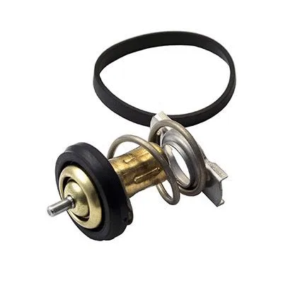 Thermostat, coolant (M4769IN)