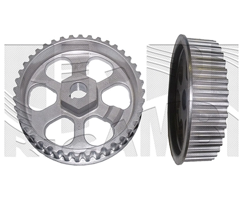 Actuator, exentric shaft (variable valve lift) (A09408)