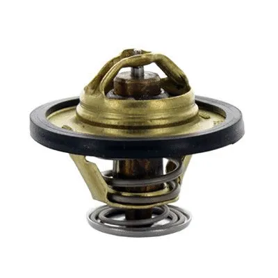 Thermostat, coolant (M4213)