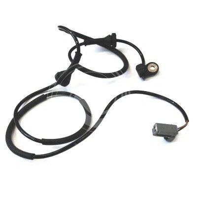 Sensor, wheel speed (L4871)