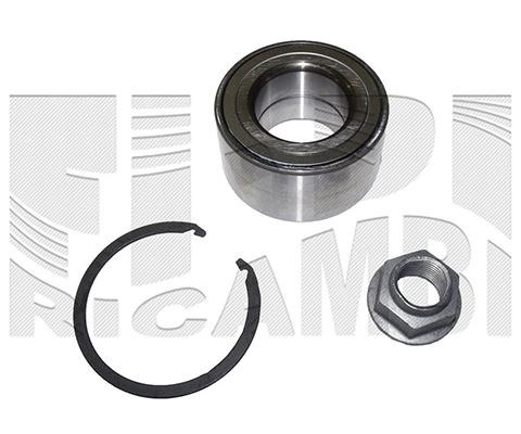 Wheel Bearing Kit (RA1579)