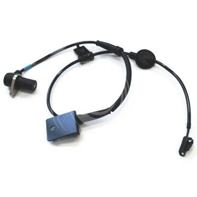 Sensor, wheel speed (L4839)