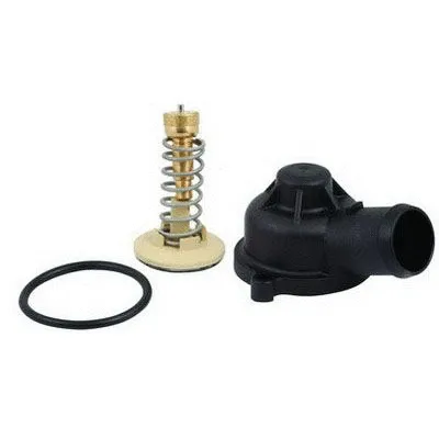 Thermostat, coolant (M4646K)