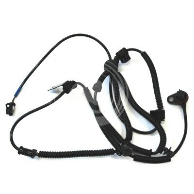 Sensor, wheel speed (L4836A2)