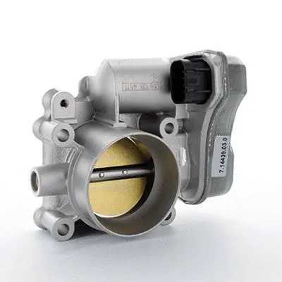 Throttle Body (L8072)