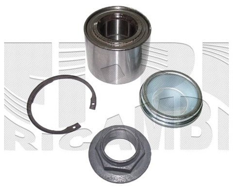 Wheel Bearing Kit (RA4048)