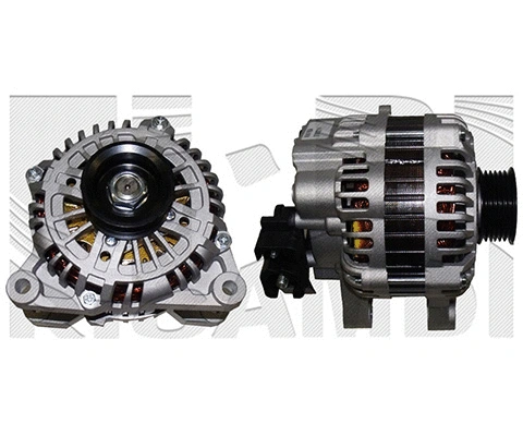 Alternator (AVA165A)