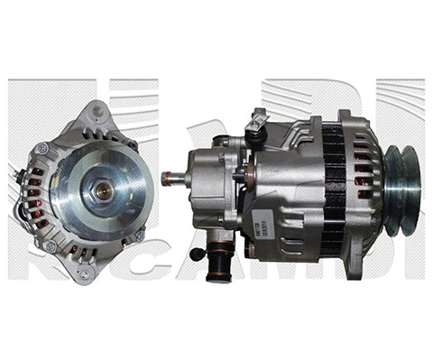 Alternator (ANI110A)