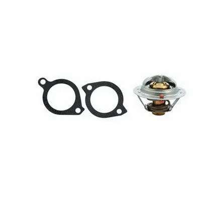 Thermostat, coolant (M4311)