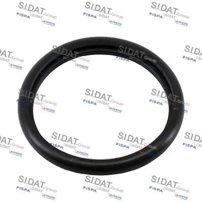 Seal, thermostat (M401670)
