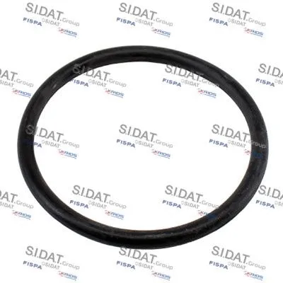 Seal, thermostat (M401661)