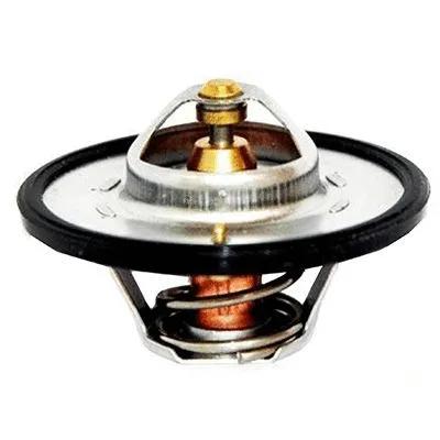 Thermostat, coolant (M4377)