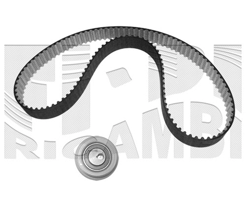 Timing Belt Kit (KAT1459)