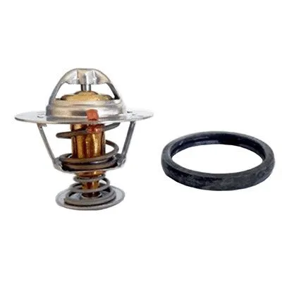 Thermostat, coolant (M4836)