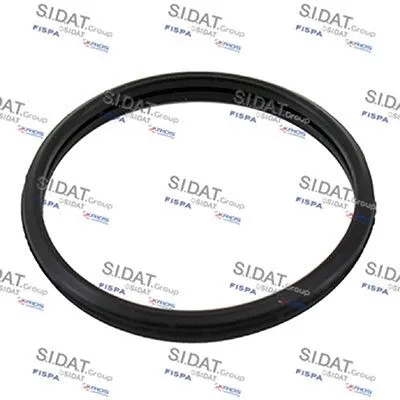 Seal, thermostat (M401677)