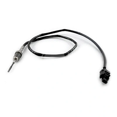 Sensor, exhaust gas temperature (L21465)