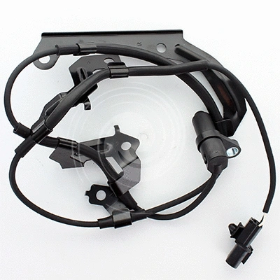 Sensor, wheel speed (L41035)