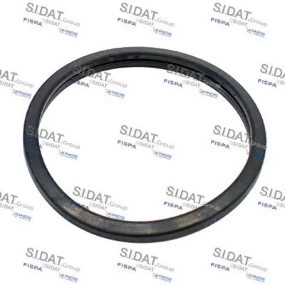 Seal, thermostat (M4016100)
