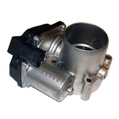 Throttle Body (L8050AS)