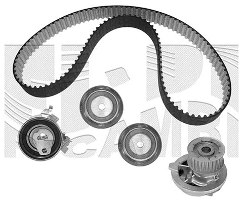 Water Pump & Timing Belt Kit (KATW1223)