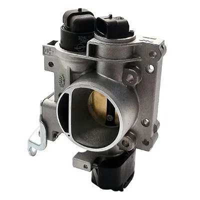 Throttle Body (L8001)