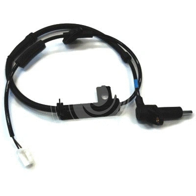 Sensor, wheel speed (L4841)