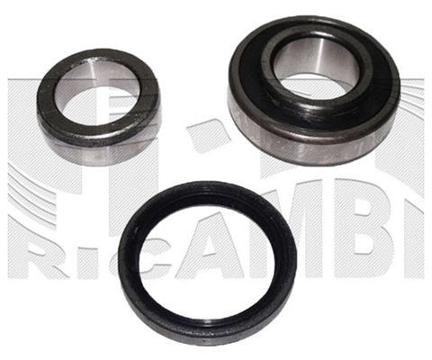 Wheel Bearing Kit (RA1821)
