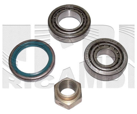 Wheel Bearing Kit (RA8011)