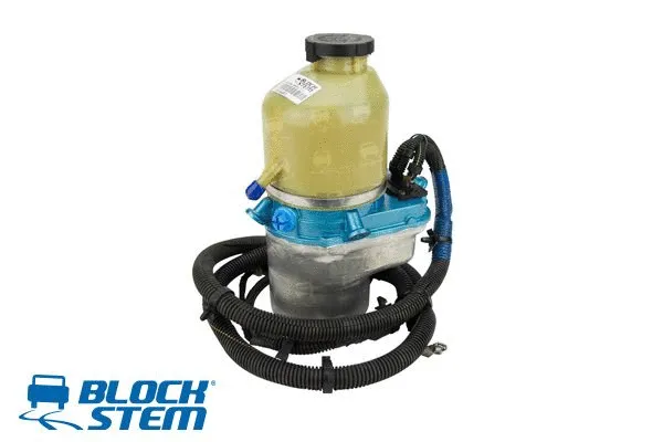 Hydraulic Pump, steering (PSE0699)