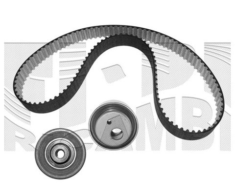 Timing Belt Kit (KAT1134)