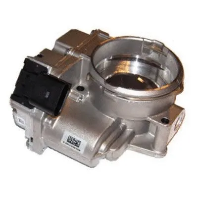 Throttle Body (L8054)