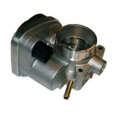 Throttle Body (L8048)