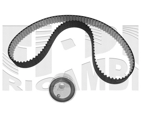 Timing Belt Kit (KAT1600)