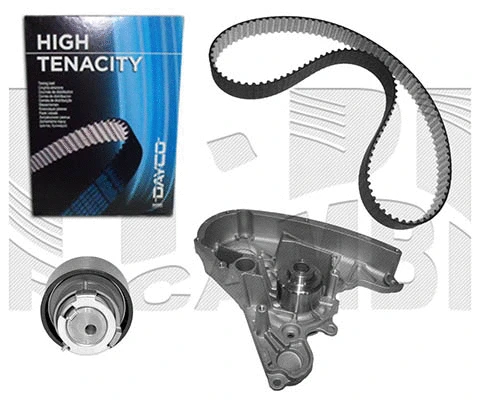 Water Pump & Timing Belt Kit (KATW1451)