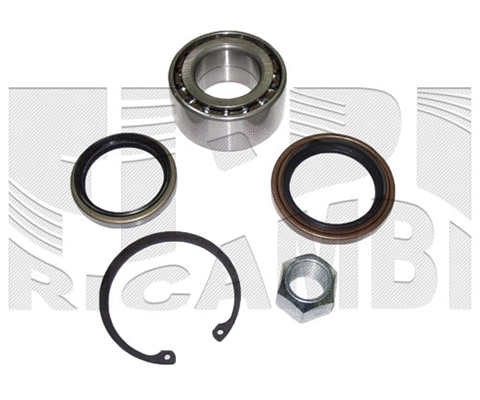 Wheel Bearing Kit (RA1909)