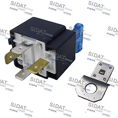 Multifunctional Relay (C240205)