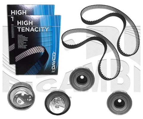 Timing Belt Kit (KAT1646)