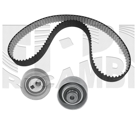 Timing Belt Kit (KAT1113)